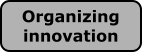 Organizing innovation